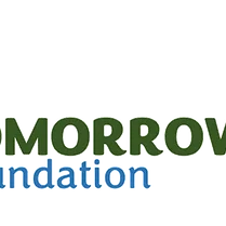 THF Transparent Logo